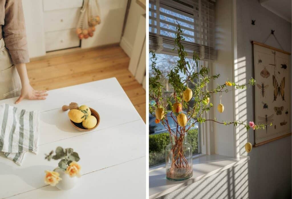 meyer lemon tree spring home decor