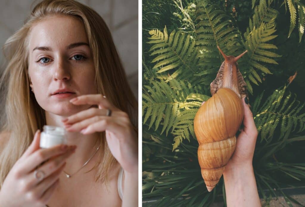 snail mucin scientific studies and snail mucin scientific evidence