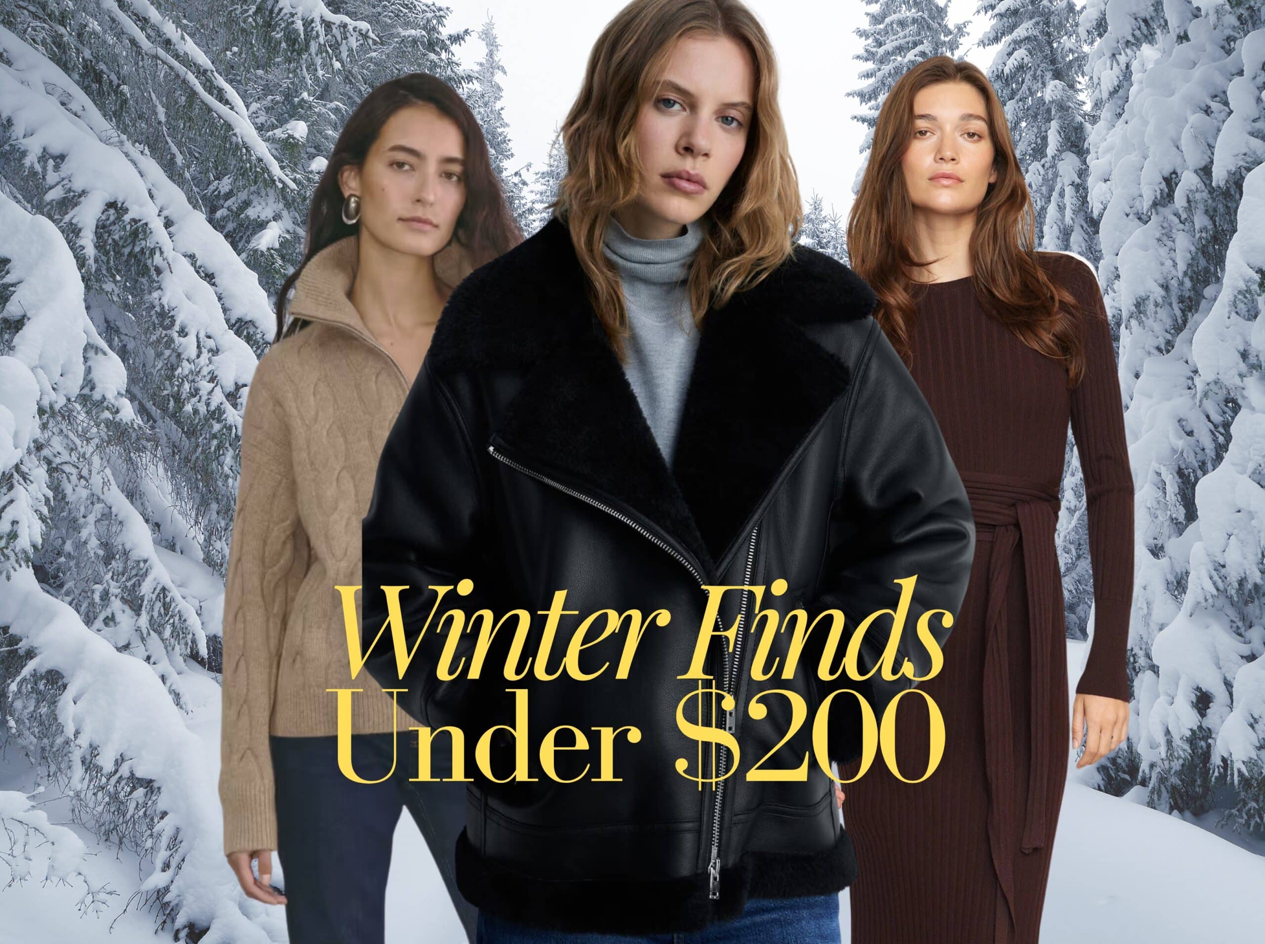 Women's Winter Fashion Under $200, Women's Winter Clothing Under $200