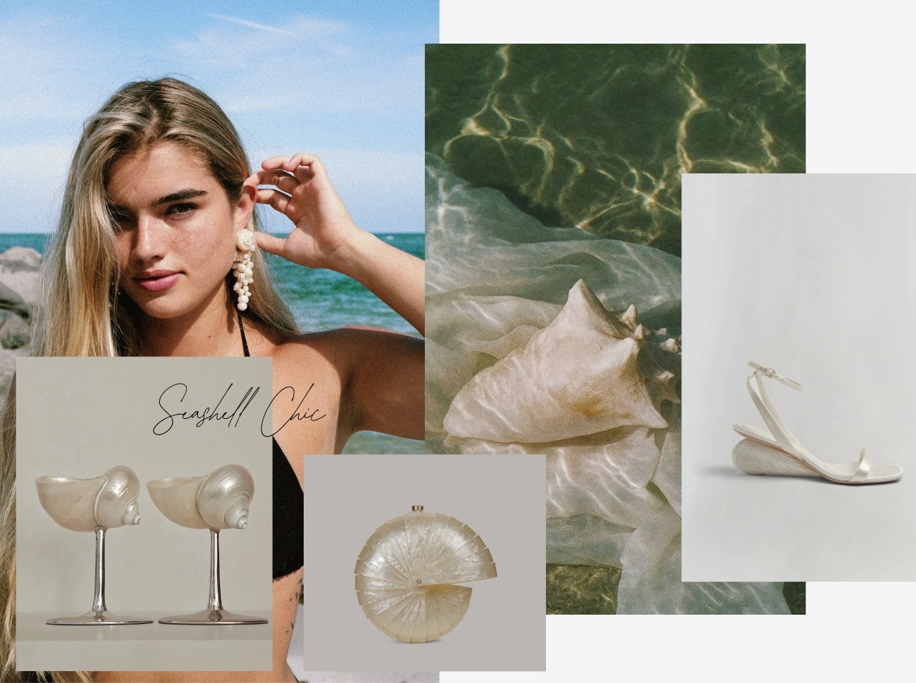 women's seashell accessories